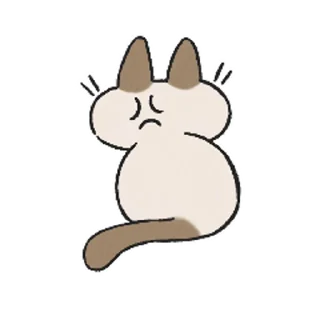 Siamese Cat Live stiker 😡