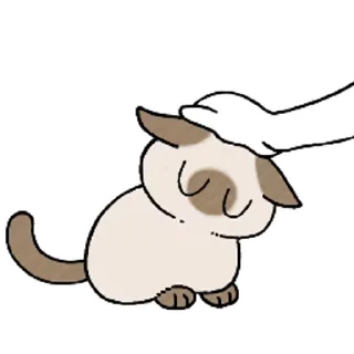 Siamese Cat Live stiker ☺️