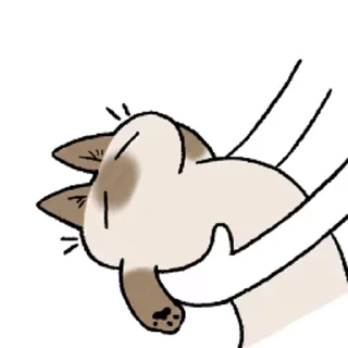 Siamese Cat Live stiker 🤗