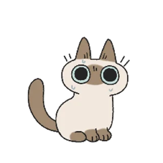 Siamese Cat Live stiker 🫠