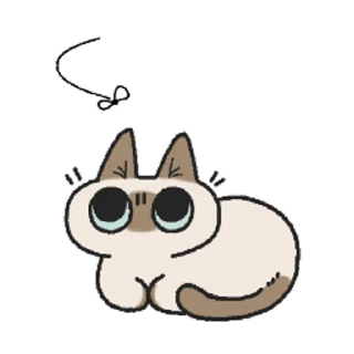 Siamese Cat Live stiker 😐