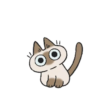 Эмодзи Siamese Cat Live ❗