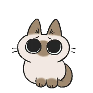 Siamese Cat Live emoji 😥