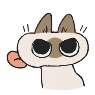 Siamese Cat Live emoji 😝