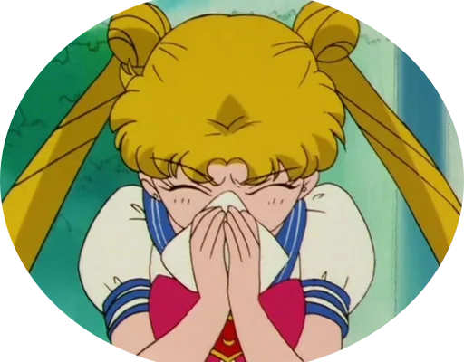 Стикер Sailor Moon 😢