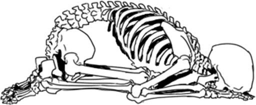 Telegram stiker «Skeleton» 👧