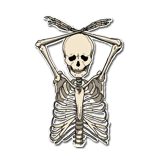 Telegram Sticker «Skeleton Bob / By OsmerOmar» 😐