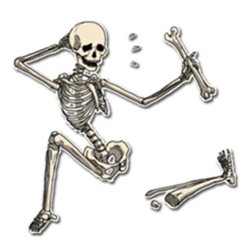 Skeleton Bob / By OsmerOmar sticker 😪