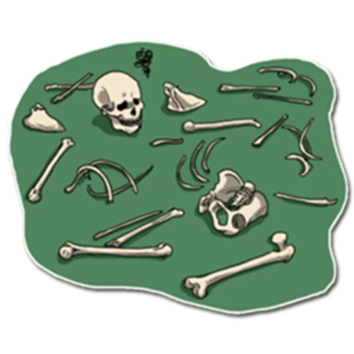 Telegram Sticker «Skeleton Bob / By OsmerOmar» 💀