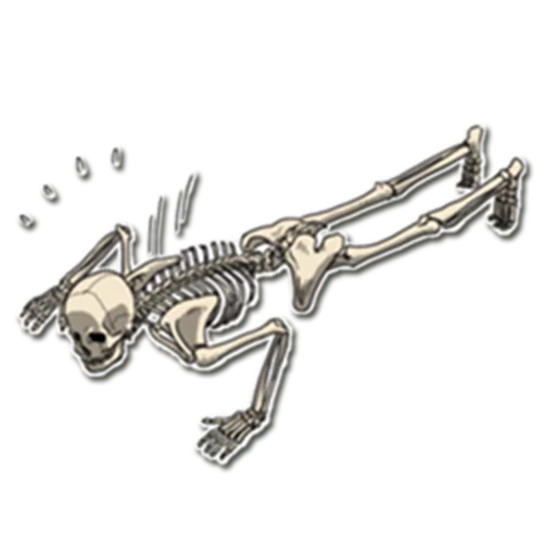 Telegram stiker «Skeleton Bob / By OsmerOmar» 