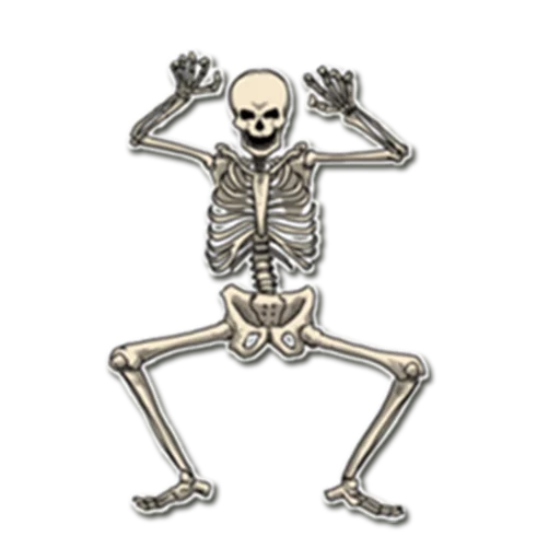 Skeleton Bob / By OsmerOmar sticker 😉