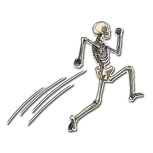 Skeleton Bob / By OsmerOmar sticker 👟