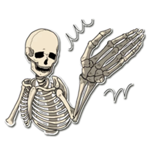 Telegram Sticker «Skeleton Bob / By OsmerOmar» 🙌