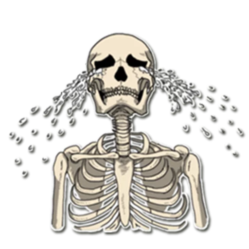 Skeleton Bob / By OsmerOmar emoji 😭