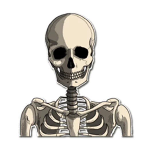 Skeleton Bob / By OsmerOmar sticker 👽
