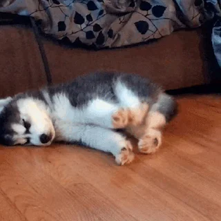 Стикер Sleepy Puppies 😴