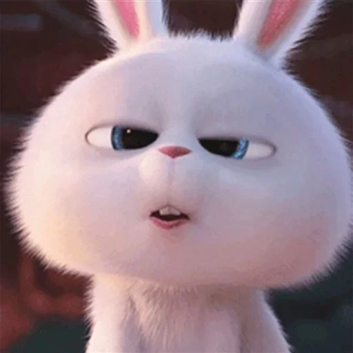 Snowball the rabbit emoji 🐰