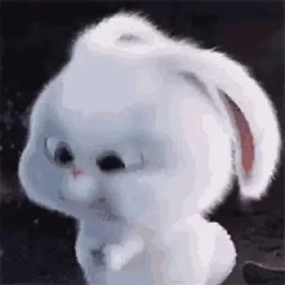 Snowball 😍 emoji 😠