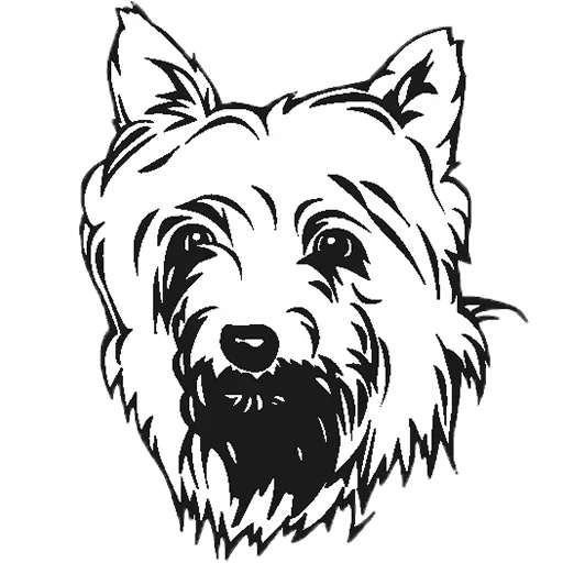 Telegram Sticker «Собака мой друг » 🧐