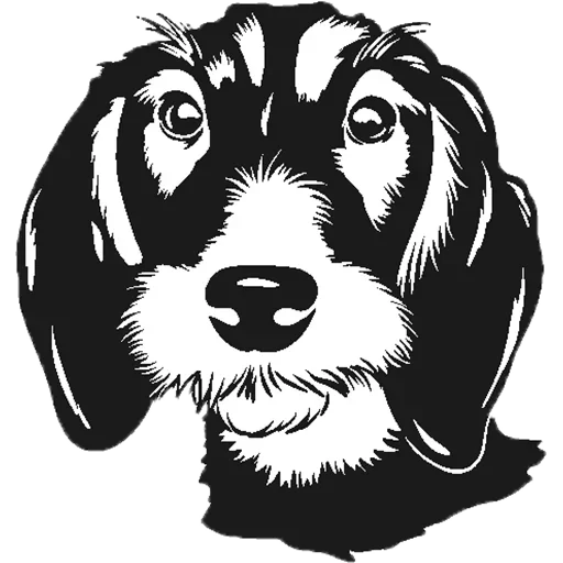 Telegram Sticker «Собака мой друг » 😒