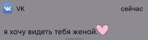 Telegram stiker «Sobrujamiyll» 🫀