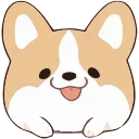 Telegram emoji Soft Corgi