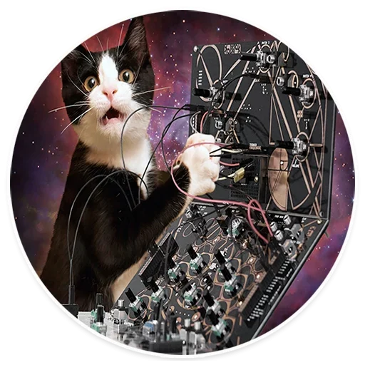Стікери телеграм Space Cats