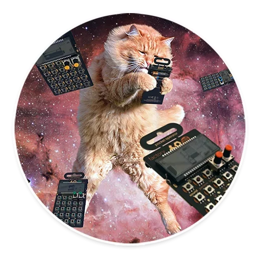 Стікер Telegram «Space Cats» 😶