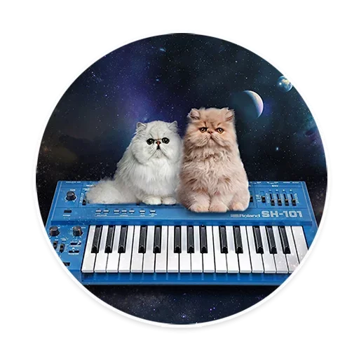 Стікер Space Cats 😑