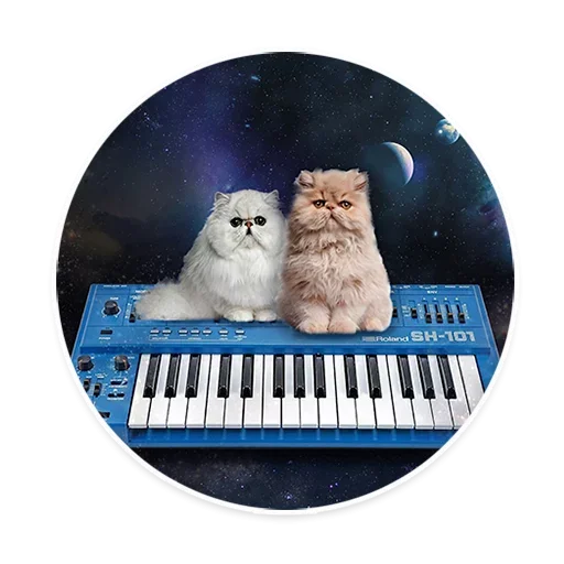 Telegram Sticker «Space Cats» 😑