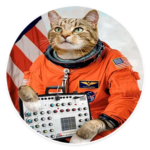Стікер Telegram «Space Cats» 😝