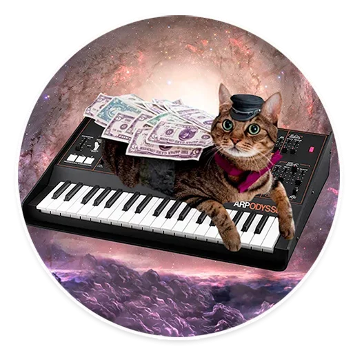 Telegram Sticker «Space Cats» ☹️