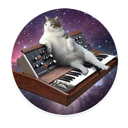 Telegram stiker «Space Cats» 🥺