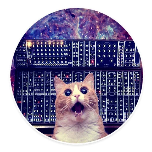 Стікер Telegram «Space Cats» 😓