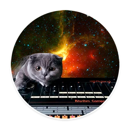 Telegram stiker «Space Cats» 😓