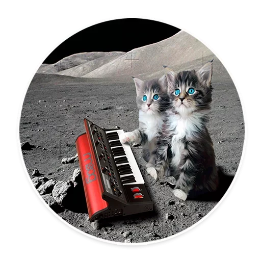 Стікер Space Cats 🥺