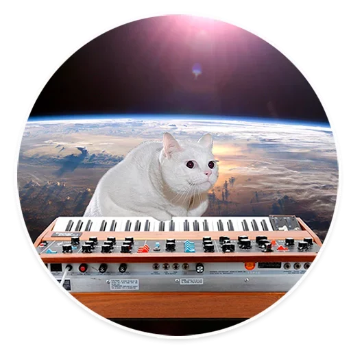 Стікер Telegram «Space Cats» 😘