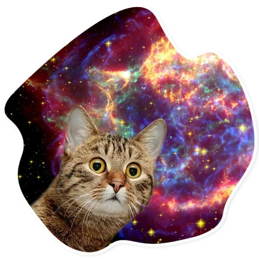 Telegram stikerlari Space Cats
