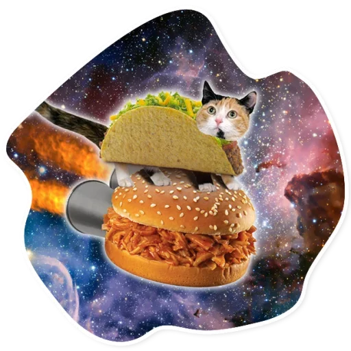 Telegram Sticker «Space Cats» 🍔