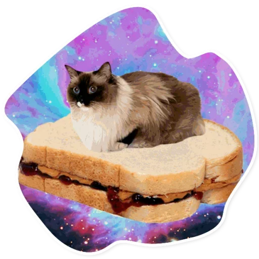 Telegram Sticker «Space Cats» 🍞