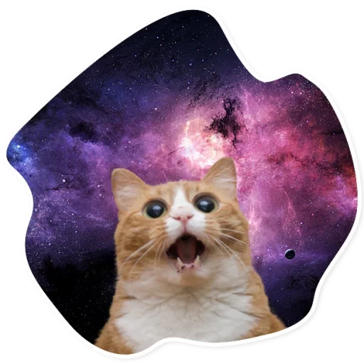Space Cats sticker 😂