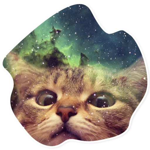 Стикер Telegram «Space Cats» 😎