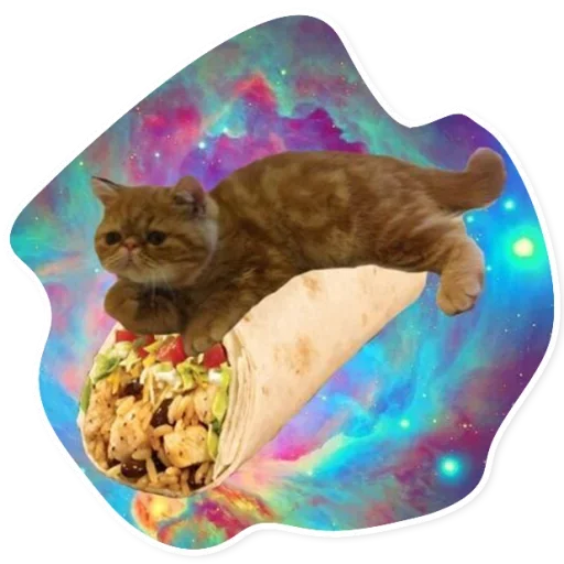 Стикер Telegram «Space Cats» 🌯