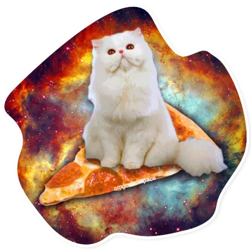 Telegram stiker «Space Cats» 🍕