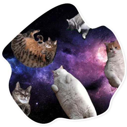 Telegram Sticker «Space Cats» 😴