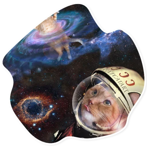 Telegram Sticker «Space Cats» 🚀