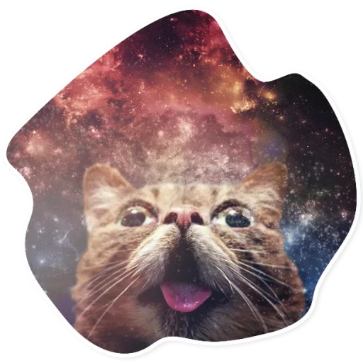 Telegram Sticker «Space Cats» 😳