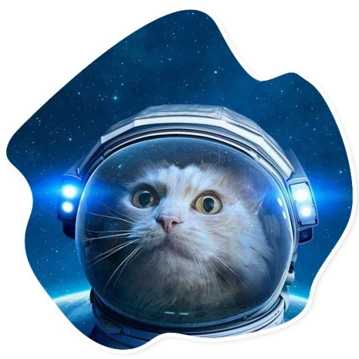 Стикер Telegram «Space Cats» 🌎