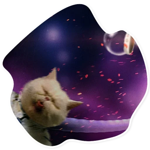 Стикер Telegram «Space Cats» 😋