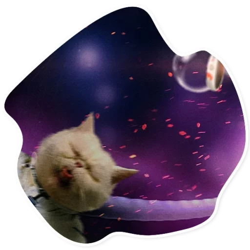 Space Cats emoji 😋